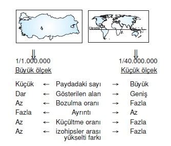 Die Großmutter : Büyük Ölçekli Bir Portre ve İnsanın Kırılganlığı Üzerine Bir Yorum!